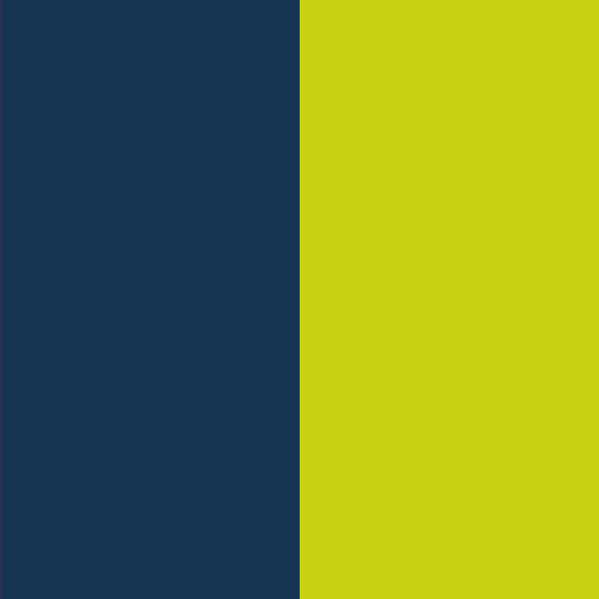 Navy- giallo chiaro