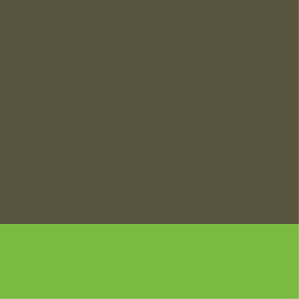 Olive-Verde lime