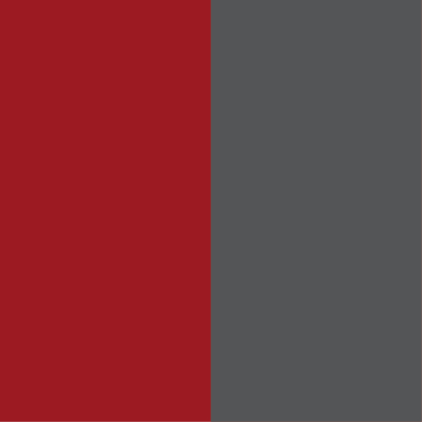 Rosso medio-antracite
