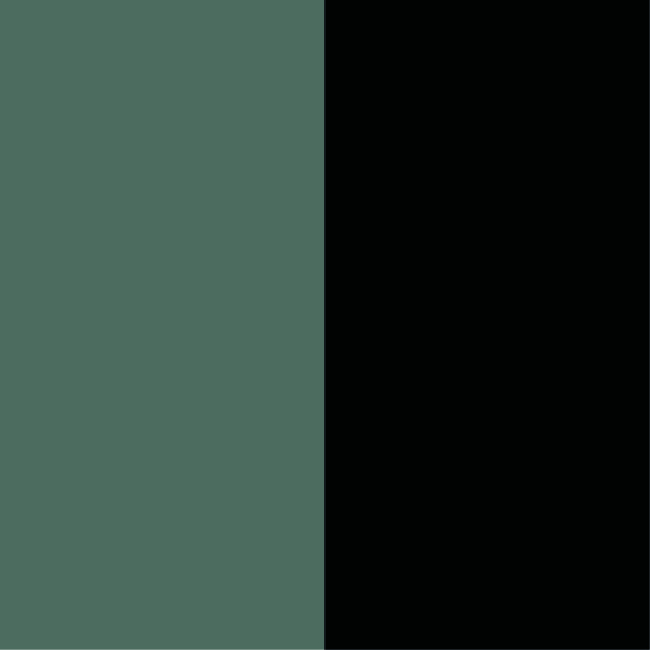 Verde muschio-nero